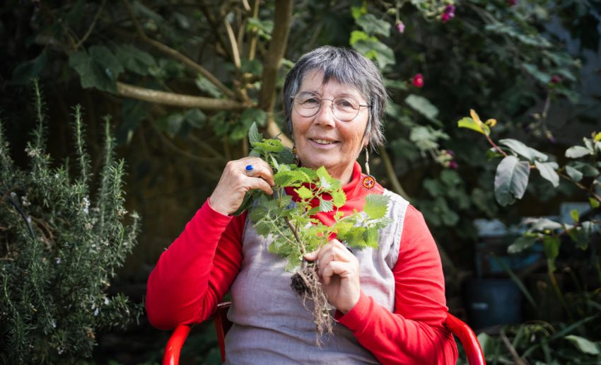 FernandaBotelho-Herbalismo-20