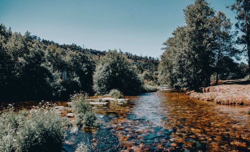 tiago-aleixo-WsARBRuxHO8-unsplash-1024x683@2x